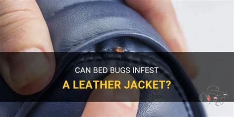 do bed bugs infest leather.